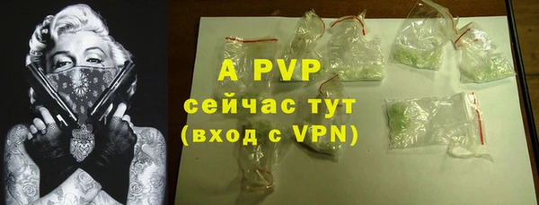 индика Аркадак