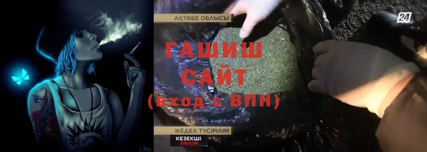 индика Аркадак