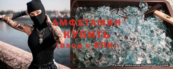 индика Аркадак