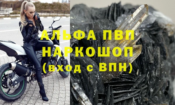 индика Аркадак